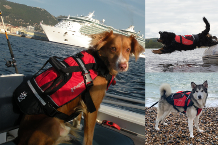 Watersport lifejackets for dogs