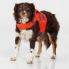 Dog Lifejackets for safety on the water