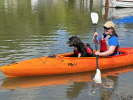 Riot Bayside LV Touring Kayak paddling with a dog on board