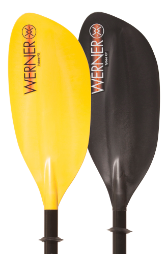 Werner Tybee Touring Paddles for sale 